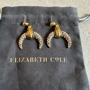 Elizabeth Cole Crystal Dangling Horseshoe Eearings - never used